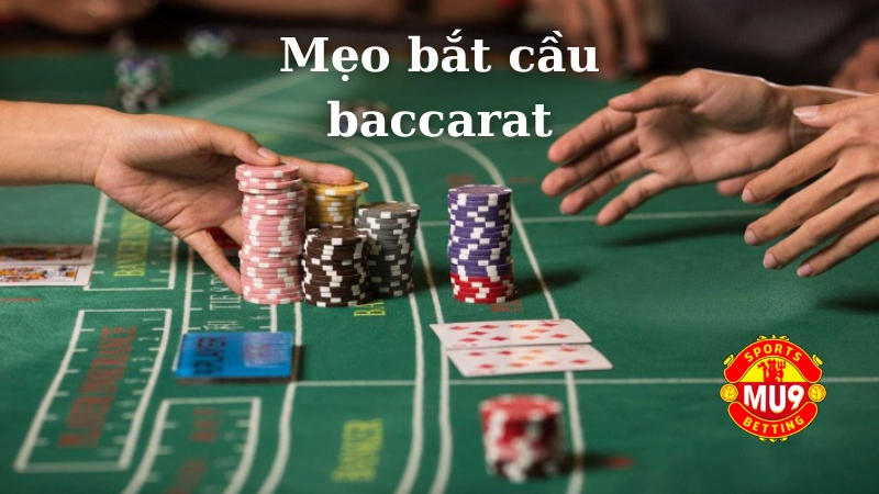 Các loại cầu phổ biến trong Baccarat