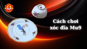 Bật mí 5 cách chơi xóc đĩa Mu9 hay nhất cho anh em