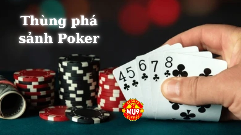 Chơi thùng phá sảnh Poker như thế nào là hiệu quả?