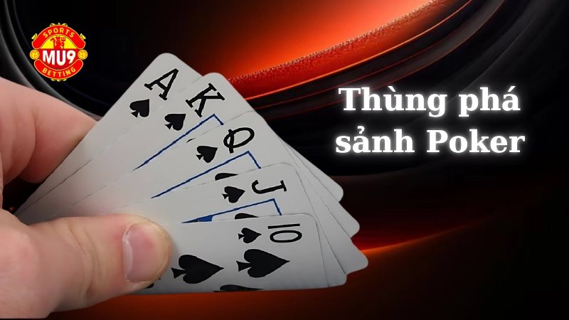 Thùng phá sảnh Poker là gì? Mẹo chơi Poker hay của cao thủ Mu9