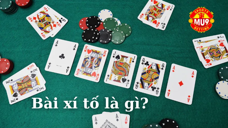 Bài xí tố là gì? Luật và mẹo chơi hay dành cho người mới