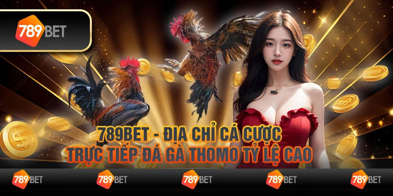 789Bet - Địa chỉ cá cược trực tiếp đá gà Thomo tỷ lệ cao